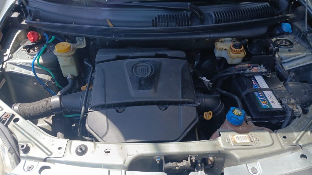 WhatsApp Image 2026-01-10 at 10.19.48