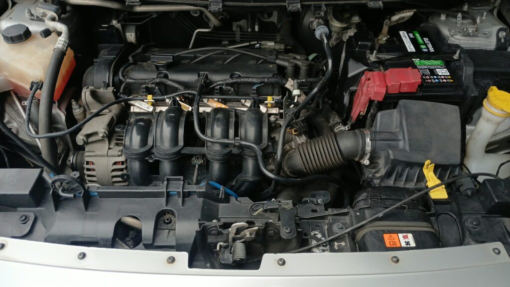 WhatsApp Image 2026-09-23 at 16.03.21
